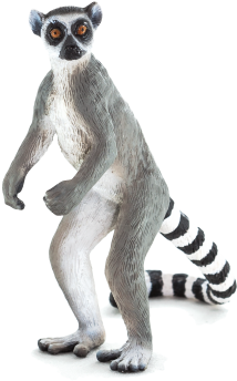 Ringtail Lemur - Animal Planet - Ring-tailed Lemur (411x540), Png Download
