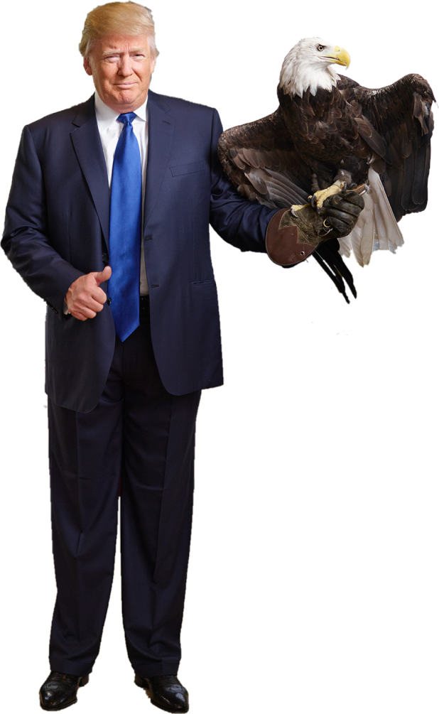 Trump Holding An Eagle (618x1005), Png Download