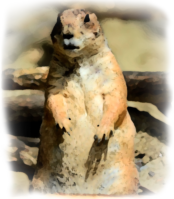 La Población Actual Del Perrito Llanero Es Desconocida - Perrito Llanero Mexicano Dibujo A Color (700x800), Png Download