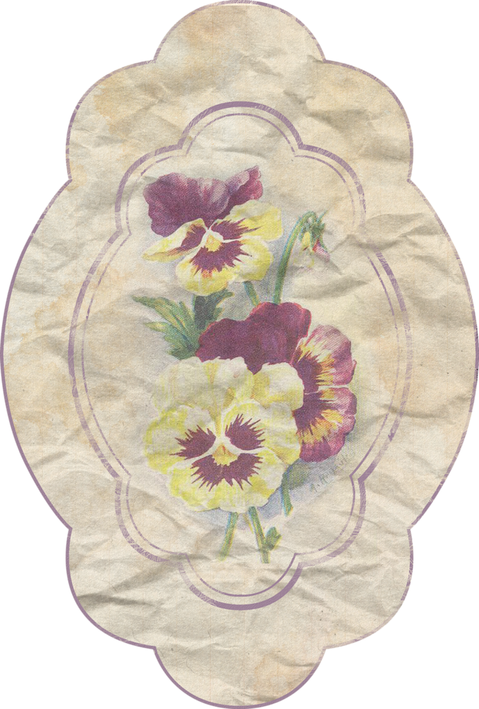 Vintage Label - Pansy (692x1024), Png Download