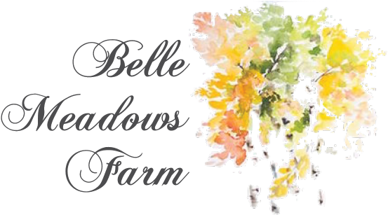 Together We Make A Family Art Wall Quotes / Wall Stickers/ (569x333), Png Download