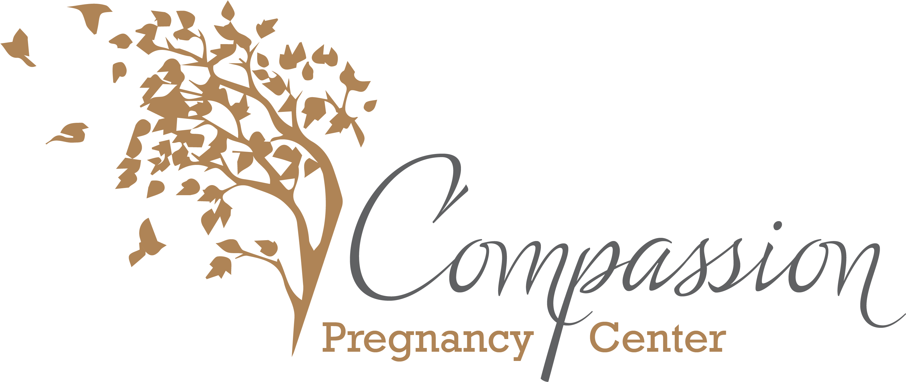 Compassion Pregnancy Center (3138x1411), Png Download