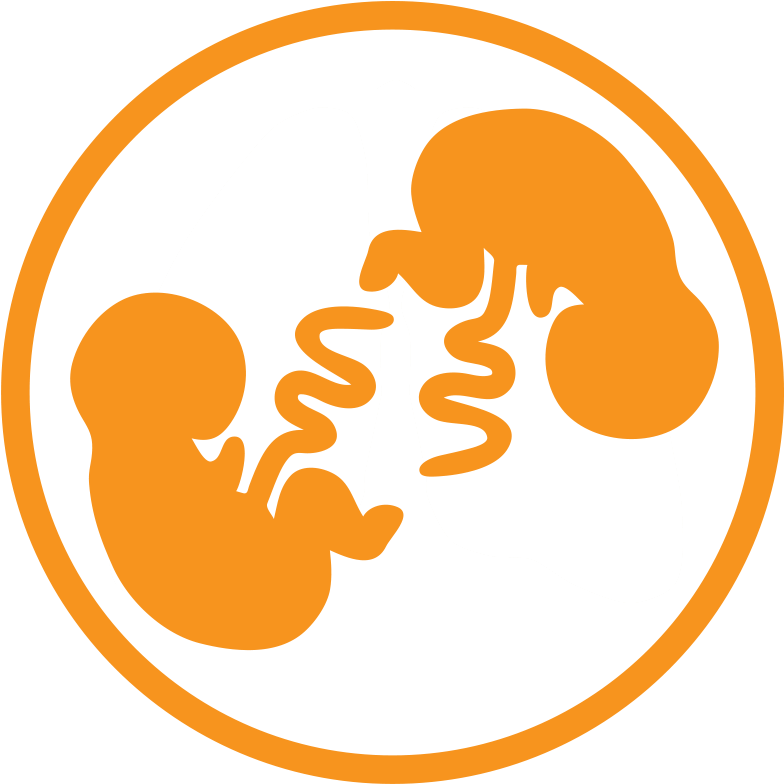 Circle (798x796), Png Download