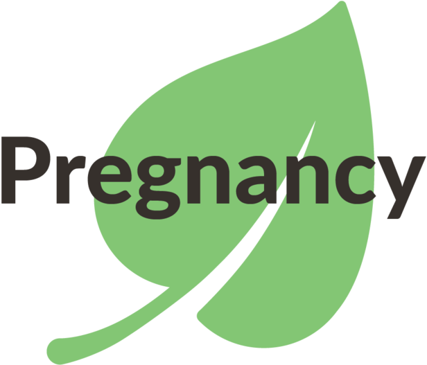 Pregnancy - Magnetic Io (1000x526), Png Download
