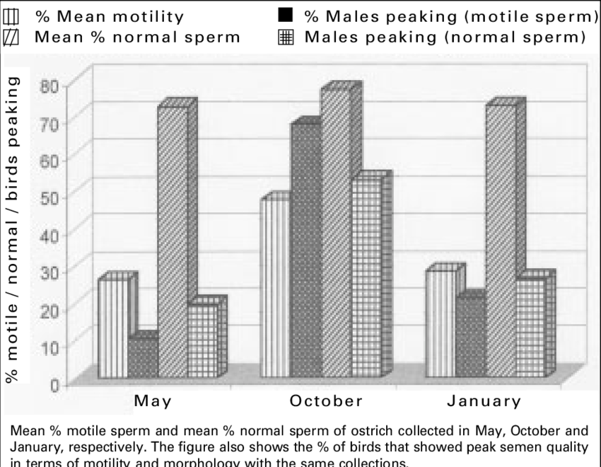 Seasonal Effects On Ostrich Semen - Common Ostrich (850x660), Png Download