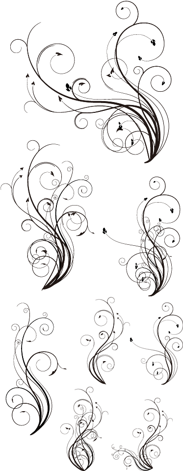 Ornamentos - Decoración - - Vector Flourishes (400x980), Png Download