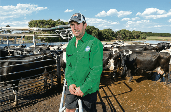 Working Animal (970x440), Png Download