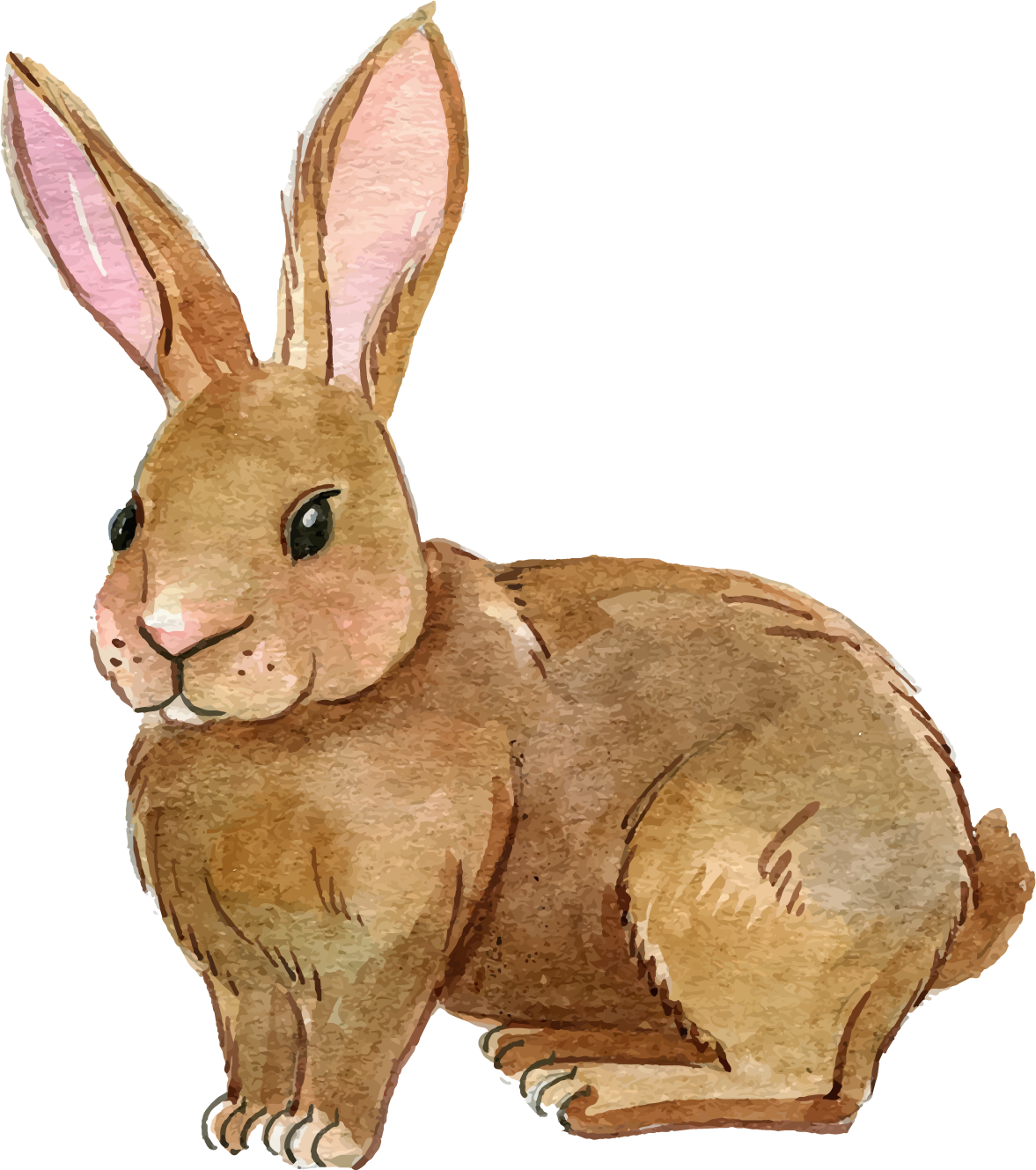 Rabbit Clipart Png Image - Rabbit Clipart Png (1177x1329), Png Download