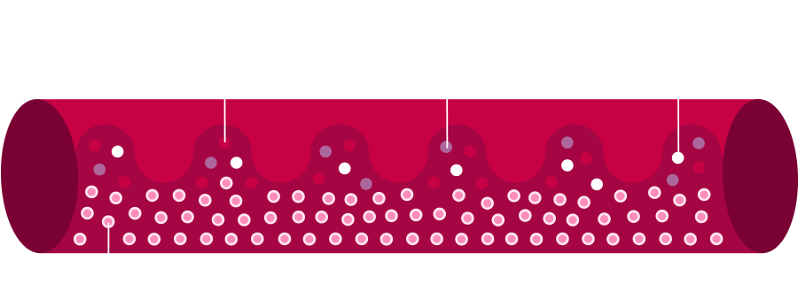En El Cuerpo Humano Adulto, El 55% De La Sangre Es - Polka Dot (900x357), Png Download