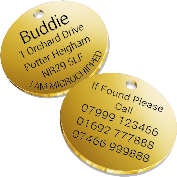 Dog Id Tag Solid Brass - Dog (600x600), Png Download