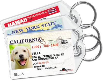 Peter Cafe Golden Retriever Dog Cosmetic Bag Multi (398x311), Png Download