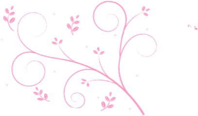 Allotment Cooks: A-z Recipe Book [book] (429x285), Png Download