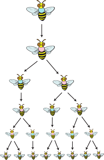 Alg2 Sequence Graphik 4 (366x561), Png Download