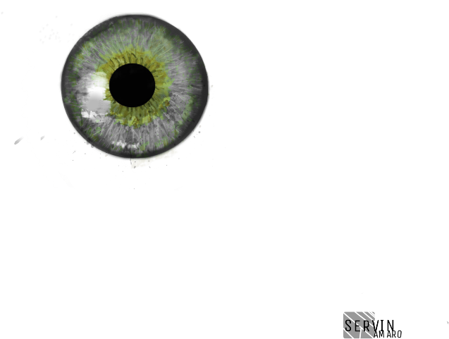 Report Abuse - Eye (1024x768), Png Download