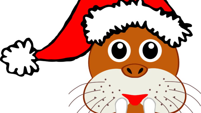 Santa Hat Clipart Photos - Clip Art Animal Head (678x381), Png Download