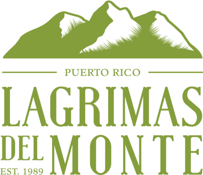 Lagrimas Del Monte - Graphic Design (600x597), Png Download