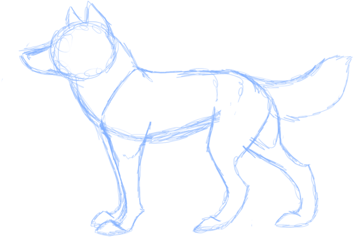 My Wolf Anatomy 3 By Twiztedrhapsody-d3dv96g Anatomy - Ancient Dog Breeds (900x568), Png Download