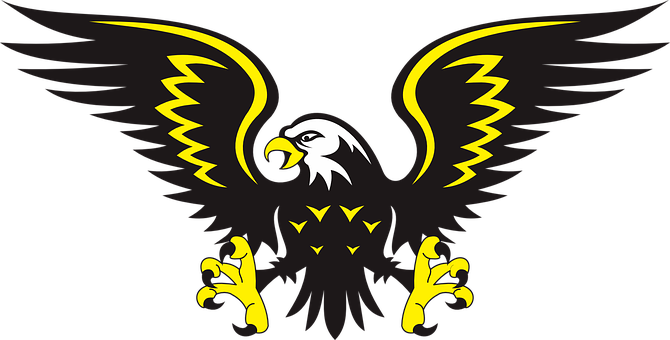 Eagle Bird Animal Angry Flying Eagle Eagle - Hawks Clipart (670x340), Png Download