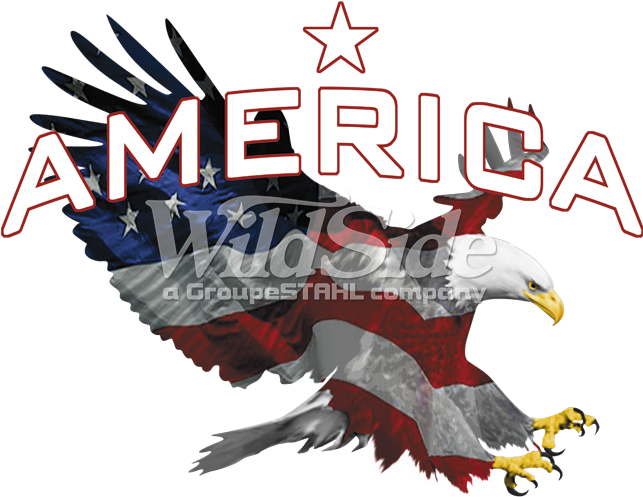 America - Bald Eagle (675x675), Png Download