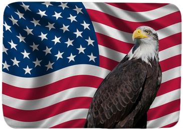 Usa Flag (400x400), Png Download