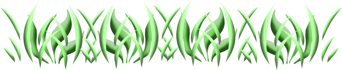 Vetiver (1200x269), Png Download