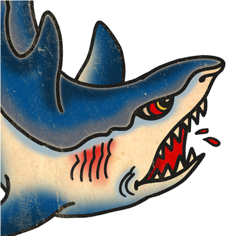 Sharks - Shark (500x476), Png Download