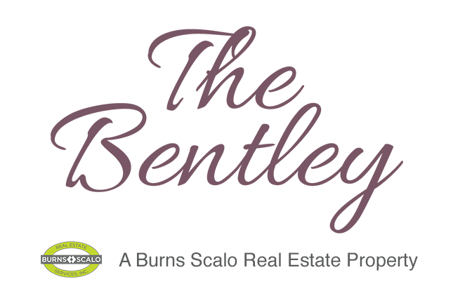 Beauty Shine Logo (720x533), Png Download