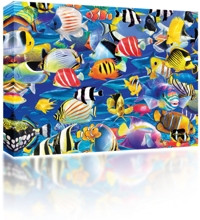 Tropical Fish - Mighty Skins Skin Decal Wrap For Otterbox Elevation (500x500), Png Download