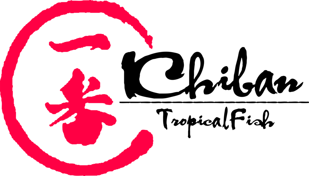 Rare Freshwater Tropical Fish (1000x569), Png Download