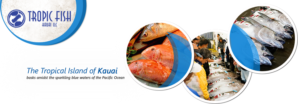 Banner For Fisheries Company (967x339), Png Download