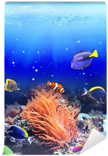 Underwater Fish Png Download - Clownfish (400x400), Png Download