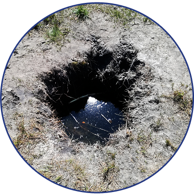 Prevent Disease - Circle (400x400), Png Download