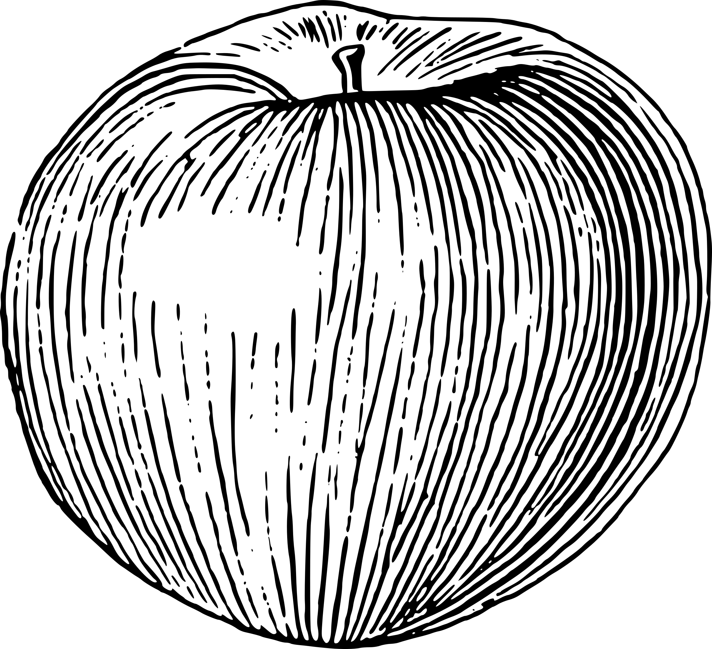 Big Image - Line Drawing Of An Apple (2400x2188), Png Download