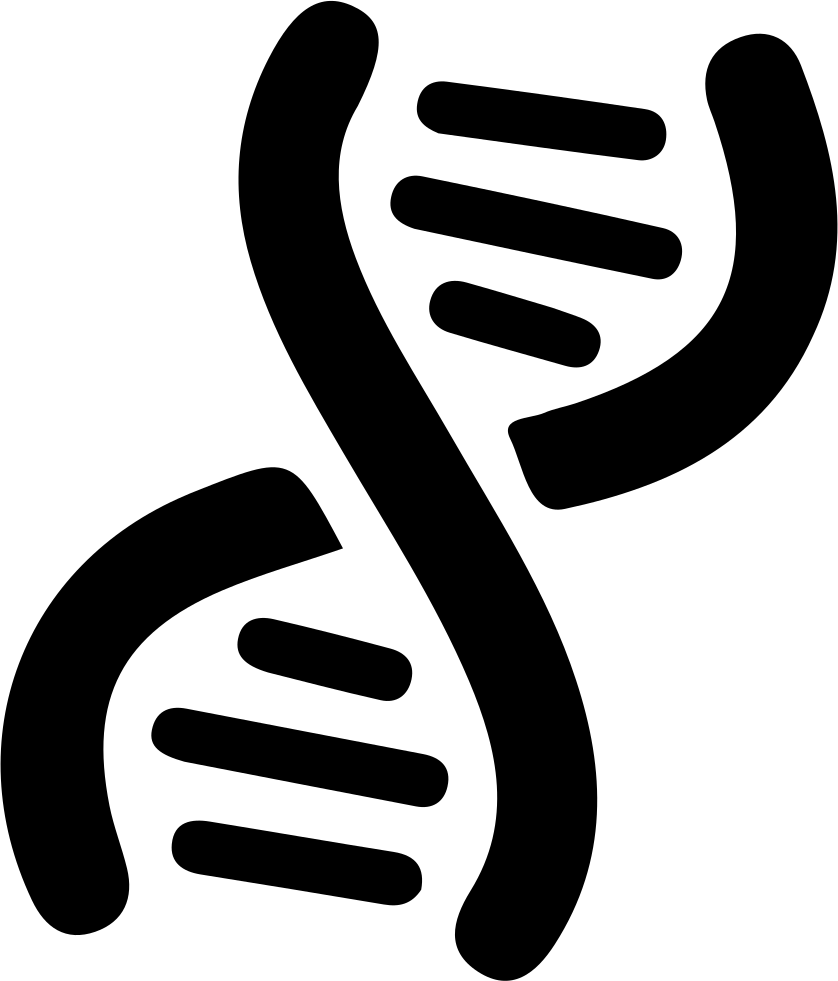 Png File Svg - Stem Cell Icon Png (838x981), Png Download