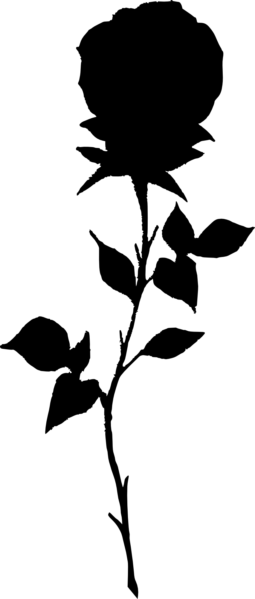 Free Png Rose Silhouette Png Images Transparent - Rose Silhouette No Background (480x1125), Png Download