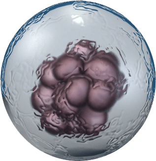 Embryonic Stem Cells Transparent (365x373), Png Download