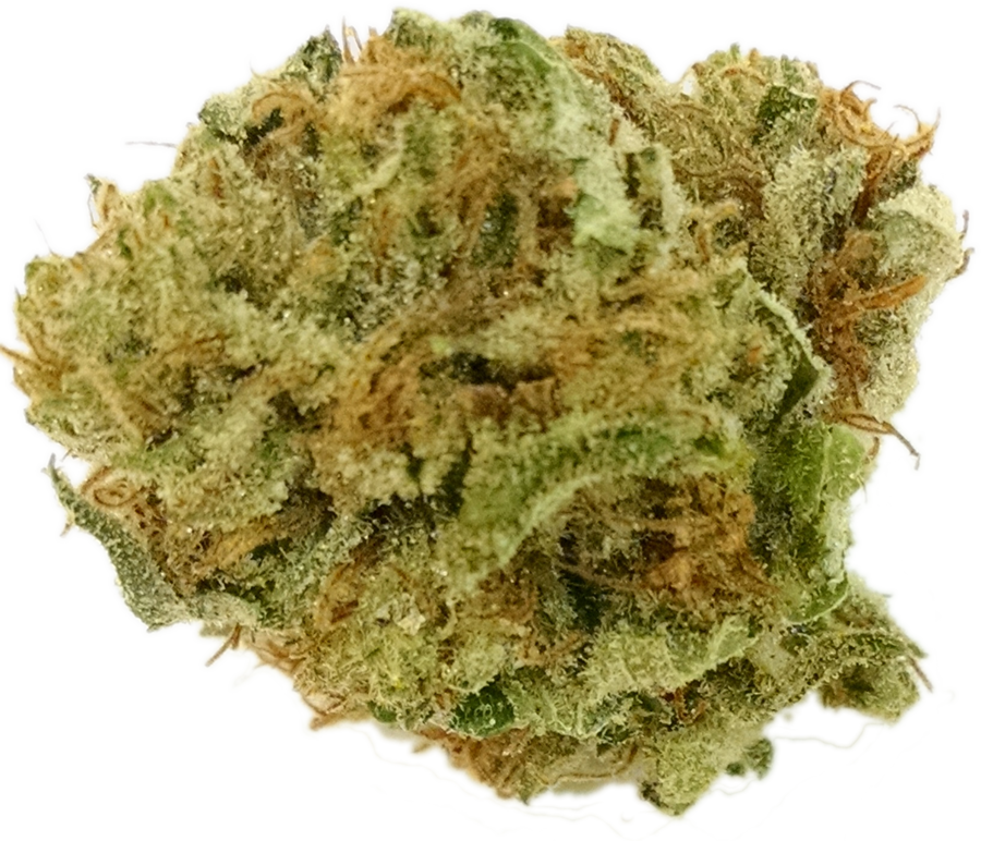 Amnesia Haze - Encino (900x772), Png Download