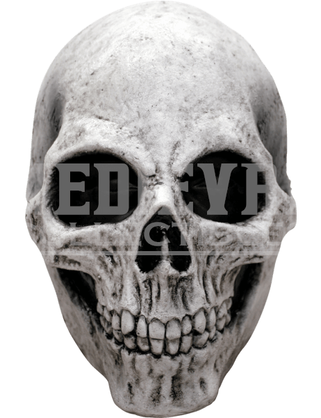 White Skull Mask - Adult Halloween Deluxe White Skull Mask (600x600), Png Download