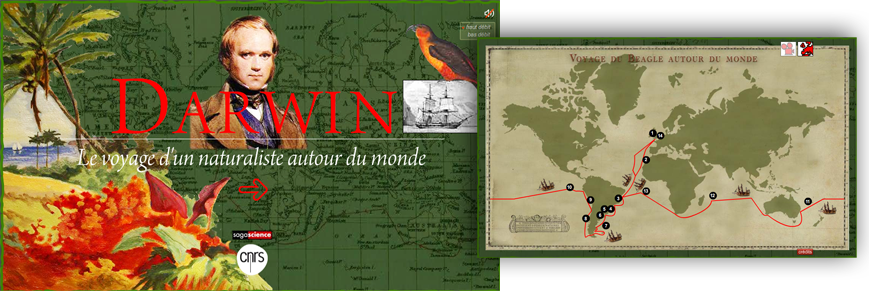 Le Voyage De Darwin - Framed Poster: World Map - Contemporary, 67x98cm. (869x291), Png Download
