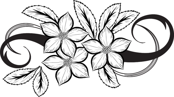 Flowers Drawing Png Pinterest - Drawing (603x338), Png Download