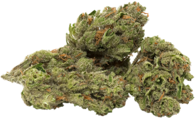 Strains - Transparent Cannabis Bud Png (700x641), Png Download
