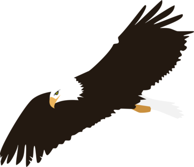 Bald Eagle Harpy Eagle Download - Bald Eagle Clipart Png (395x340), Png Download