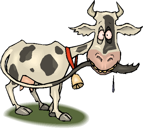 Ranch Rodeo Bible Series - Cartoon Mad Cow Disease Png (492x447), Png Download