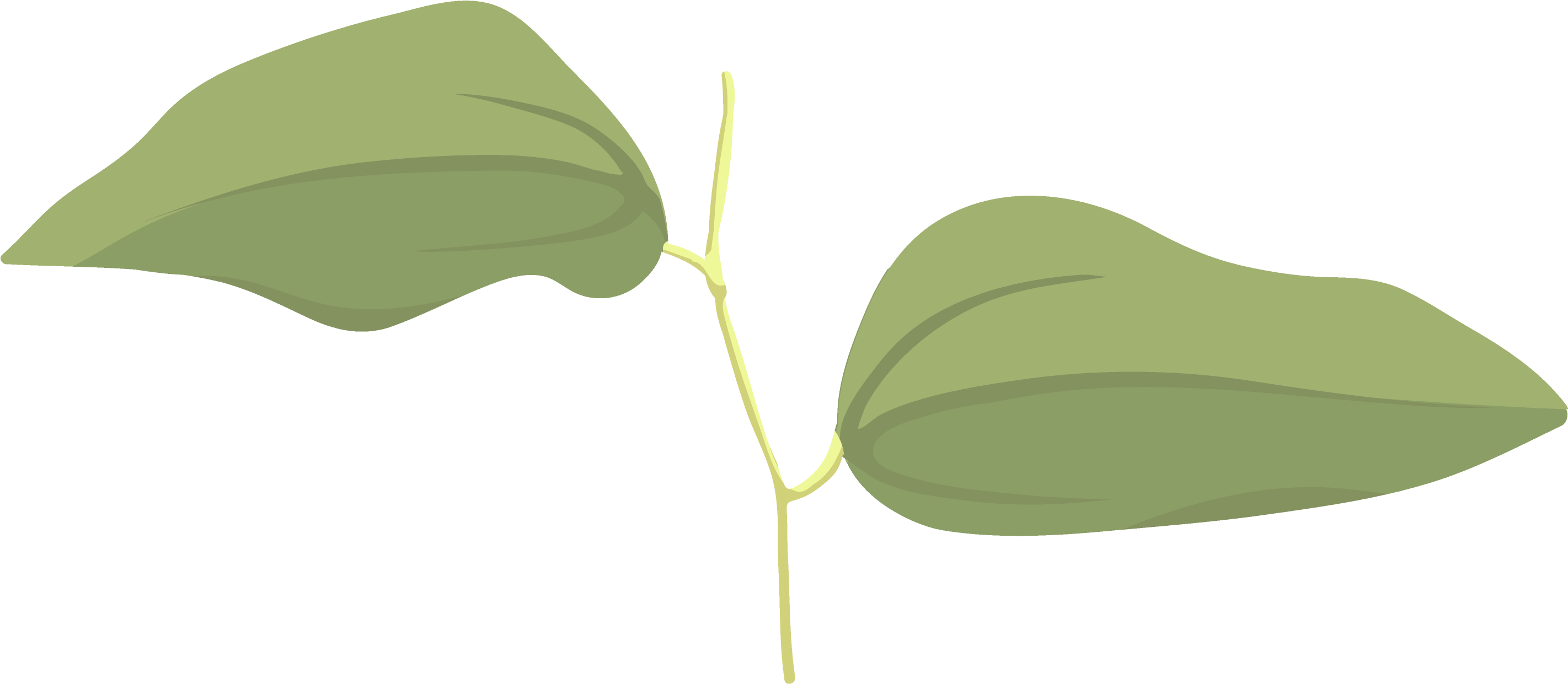 Umbrella (3508x2480), Png Download