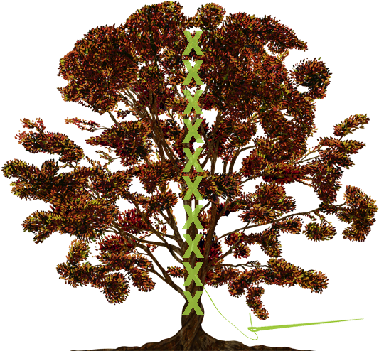 Tree, Vector, Ornament, Color, Family Tree, Texture - Split In Family Tree (900x720), Png Download