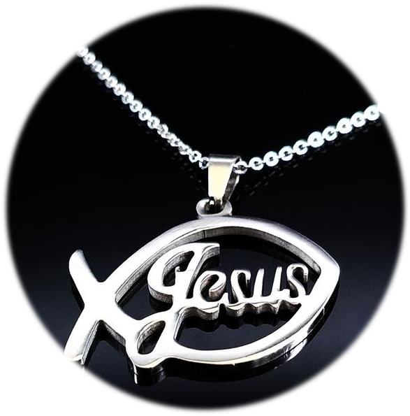 Stainless Steel Jesus Fish Necklace - Necklace (600x600), Png Download
