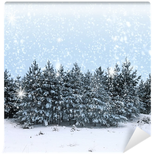 Beautiful Winter Landscape With Snow Covered Trees - Landscape (400x400), Png Download