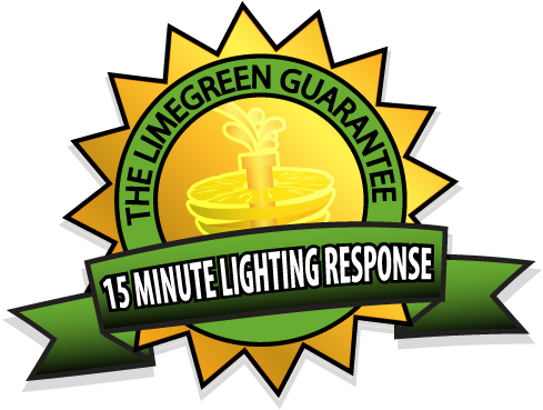 Lime Green Guarantee - Green (500x378), Png Download