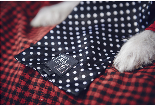 Tie On Ascot (500x500), Png Download