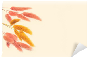 Closeup Hare's Tail - Floral Design (400x400), Png Download